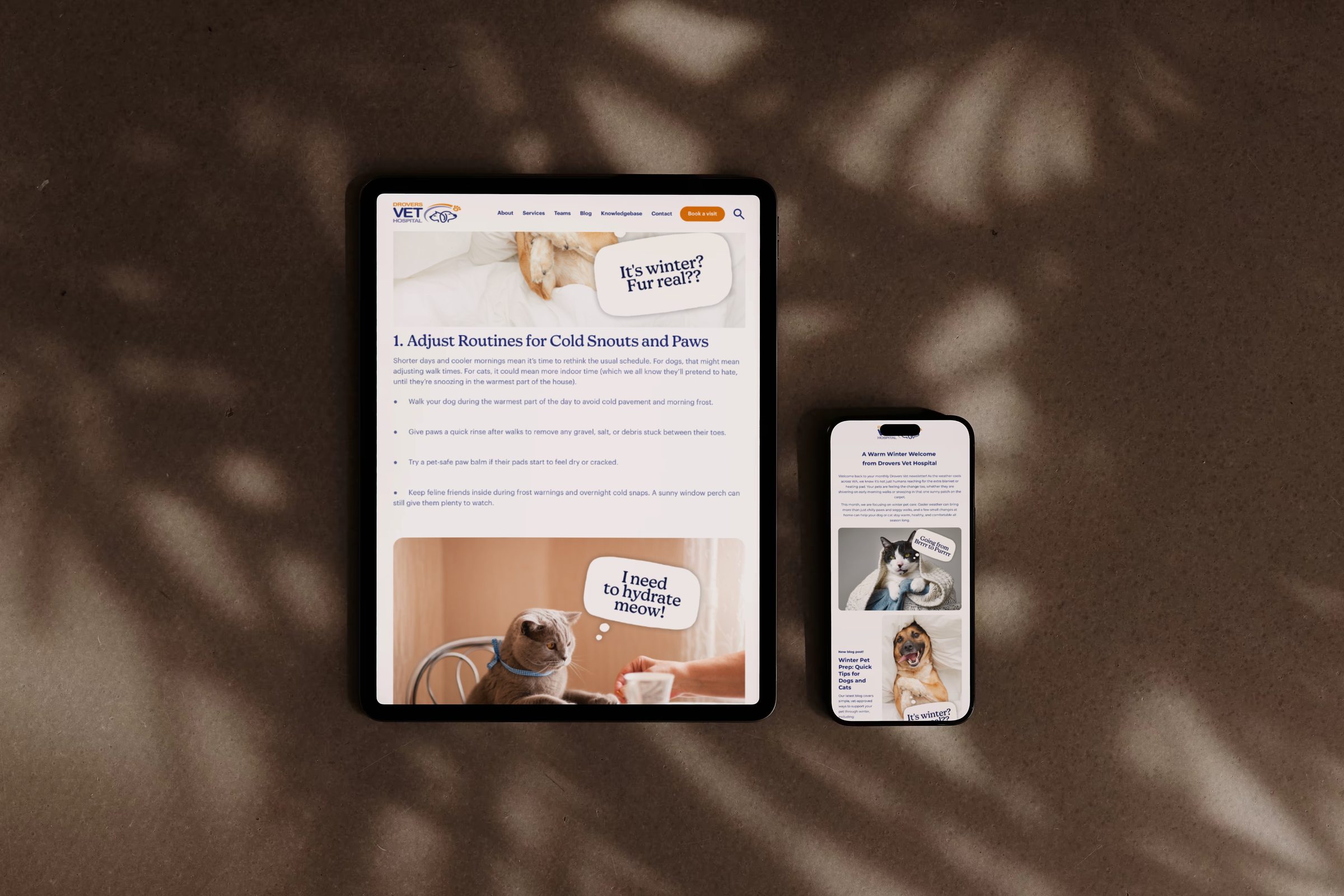 The Drovers Vet Hospital blog and newsletter